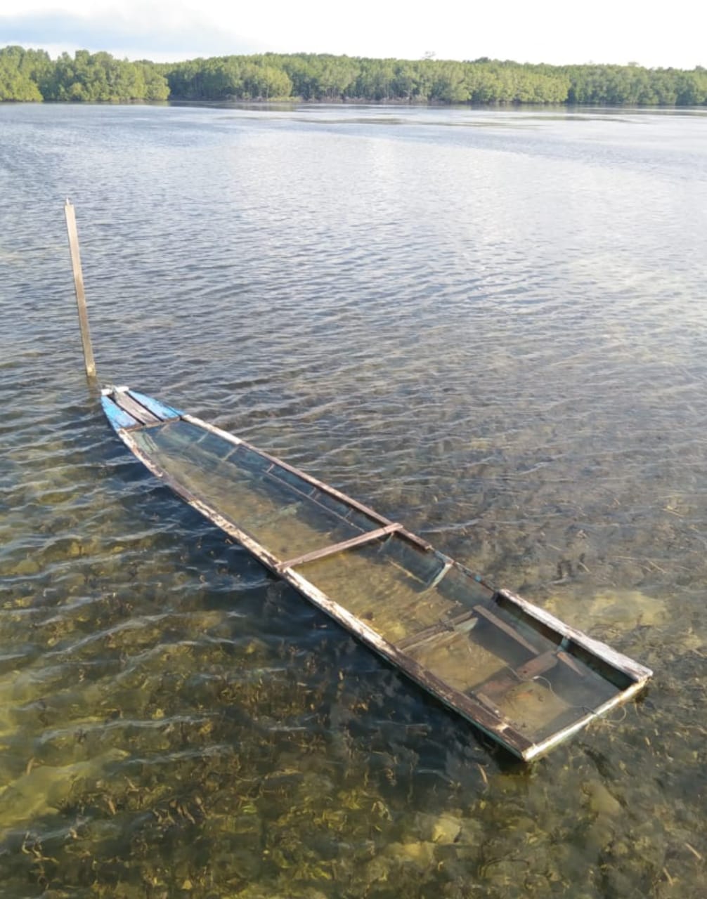 Bertaruh Nyawa Demi Mengajar; Kisah Para Guru di Pulau Selangan Bontang, Kapal Sudah 2 Kali Karam, Sering Libur karena Cuaca Buruk 